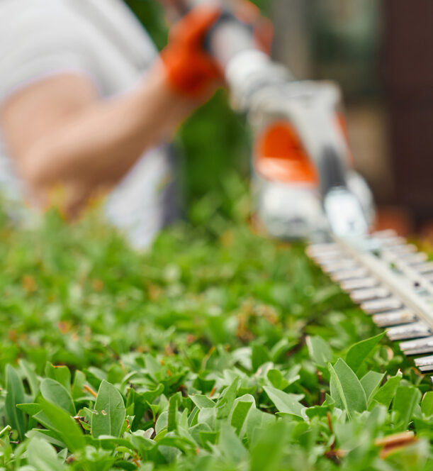 un-travailleur-coupe-l-herbe-avec-un-tuyau